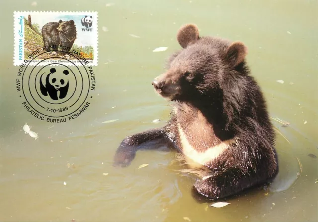 E0008 WWF Maximum Card 1989 Fauna Animals Pakistan Himalayan Black Bear