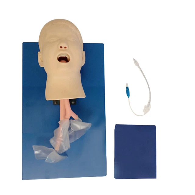 Intubation Manikin Study Child Head Model Manikin Airway Management Trainer NEW