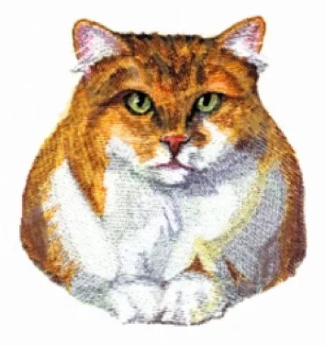 Embroidered Fleece Jacket - Tabby Persian Cat BT2518 Sizes S - XXL