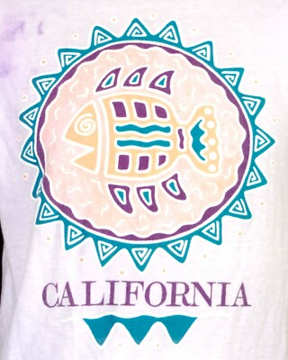 Aigle Vintage 80s Californie Cru Coolmax Simple Couture T-Shirt Désert Aigle Landing 