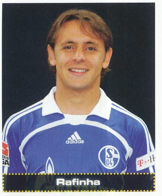 425 Rafinha # Brazil Fc.schalke 04 Sticker Panini Fussball 2008