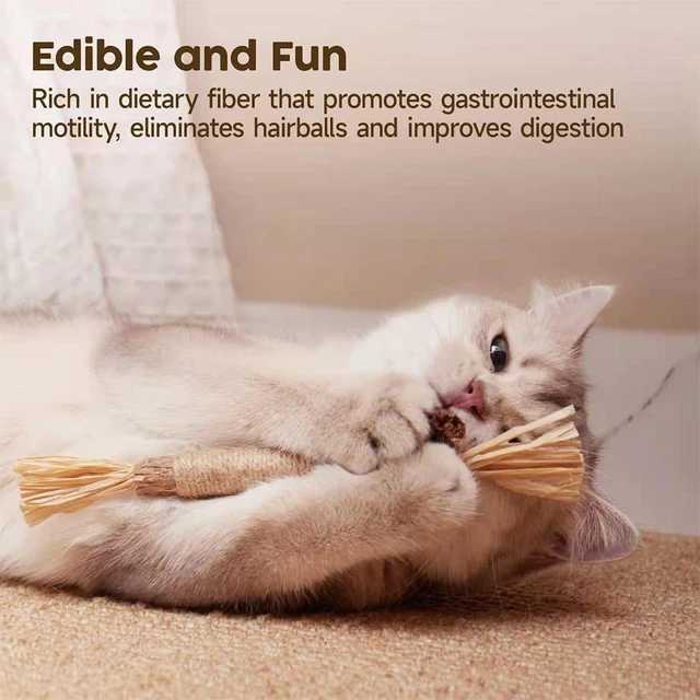 Natural Catnip Toy Cat Wand Silvervine Stick Cat Toy For Indoor Chew Cat Toy L1