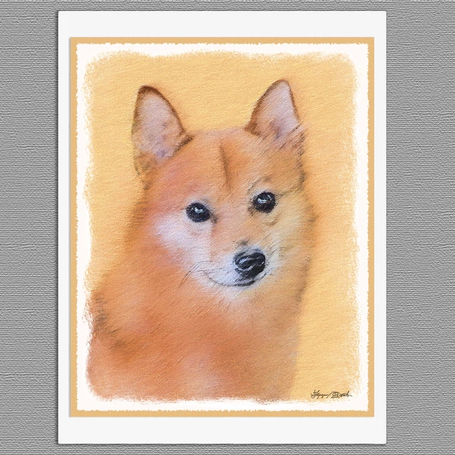 6 Finnish Spitz Dog Blank Art Note Greeting Cards 6 Finnish Spitz Dog Blank Art Note Greeting Cards