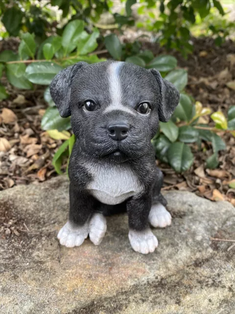 Staffordshire -Staffy Puppy Dog Animal Garden Statue Ornament Figurine Sculpture