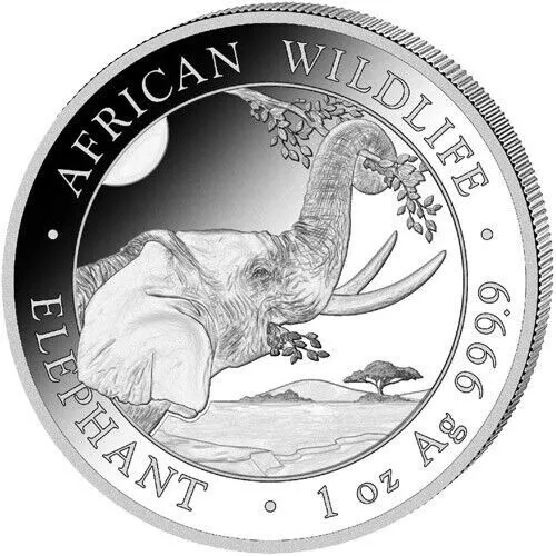 2023 1 oz Somalia Silver Elephant Coin BU