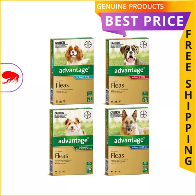 ADVANTAGE Flea Prevention for Dogs 6 Doses Monthly Flea Control FREE AU Shipping