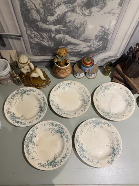 5 Assiettes creuses CREIL et MONTEREAU - Modèle LINOTTE Décor Nids D’oiseaux