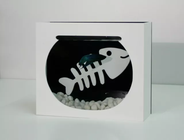 Modern Betta Fish Bowl White - Desktop aquarium or Wall Mounted Fish Aquarium