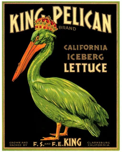 Vintage Quality Poster.King PELICAN.Room art Decor.House Interior design.329