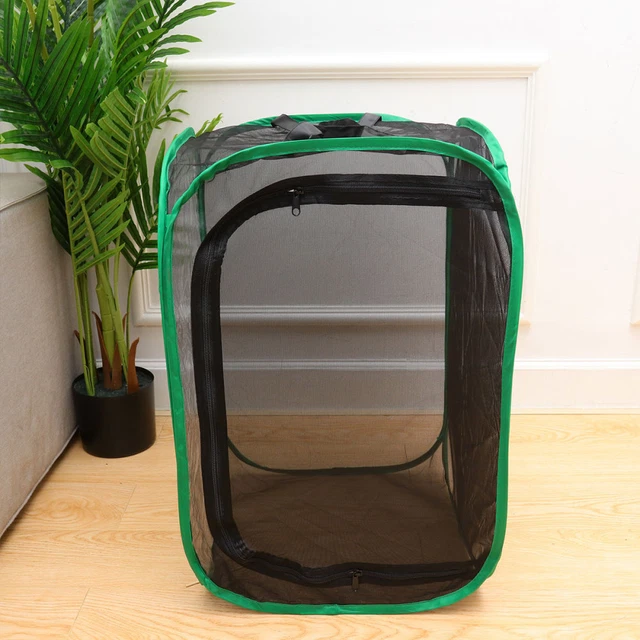 Kit de hábitat receptor al aire libre oruga plegable niño translúcido