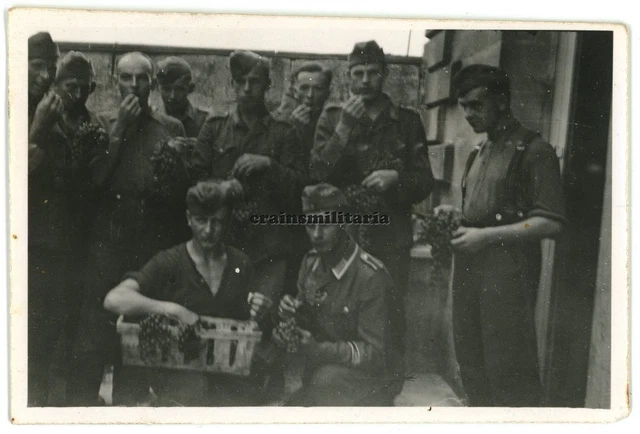 Orig. Foto Feldgendarmerie m. Ärmelband Trauben Frankreich Italien
