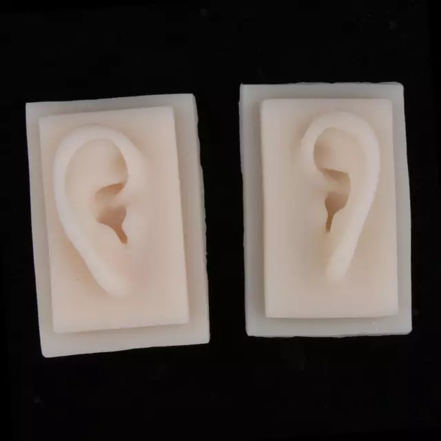 1 Pair Life-Size Silicone Human Ear Acupuncture Display Model Sample Durable 3