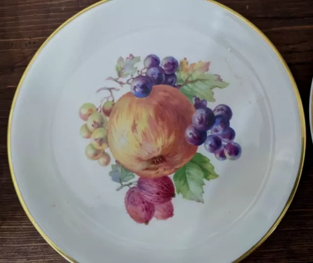 Zeh Scherzer ~ Fine Porcelain Fruit Dinner Plates ~ 7 3/4" ~ Set of 2 ~ Bavaria 2