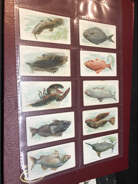 Itc Imperial Tobacco Company Canada Fish Series Cigarette Tobacco Cards X19 1912