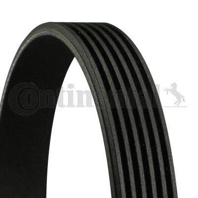 6 RIB MULTI V Drive Belt 6PK962 Continental 1612162280 5750QH 5750XF ...