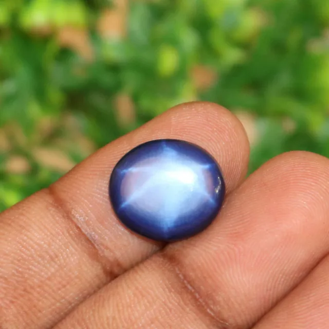 Natural Blue Star Sapphire 9 Ct. Oval Shape 6 Buds Loose Gemstone STR-19