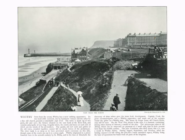 Whitby Cliffs & Front Yorkshire Antique Print Picture Old Victorian 1900 ROC#30