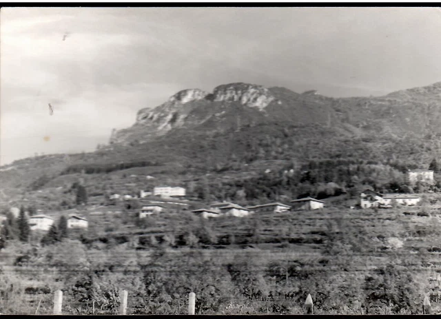 VILLAZZANO di TRENTO m. 344 - Panorama - Non viaggiata