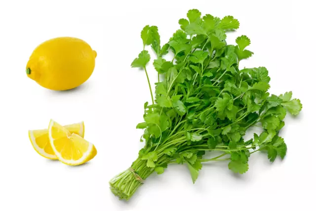 25 semillas de hierbas orgánicas cilantro especias cilantro cilantro cilantro sativum limón enano