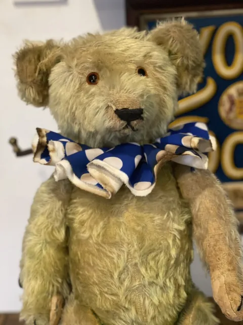 Antique  Petz Rare Teddybear 1930s German Bear Blue. 21 Inches