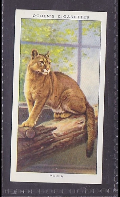 PUMA - 80 + year old English Tobacco Card # 35