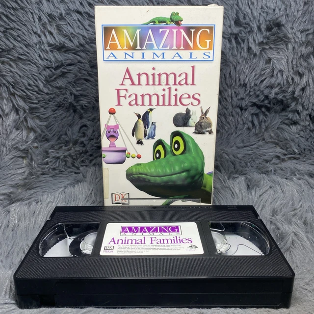 Henry S Amazing Animals Animal Families Vhs Tape 1999 Education Kids