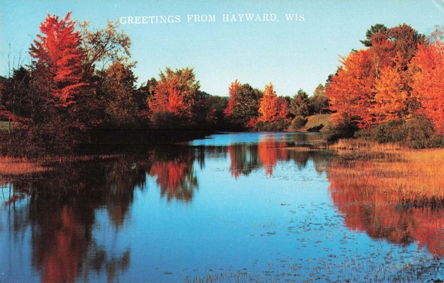Hayward WI Wisconsin, Greetings Lake Autumn Fall Colors, Vintage Postcard