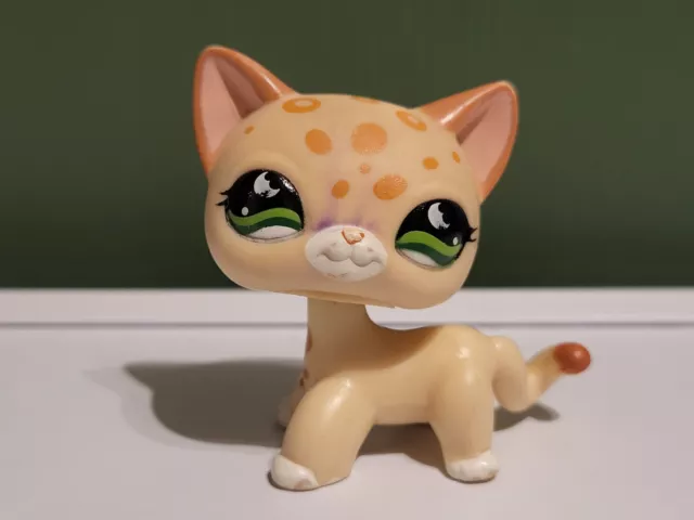 Lps #852 Littlest Petshop Original Authentic Chat Europeen European Cat Hasbro