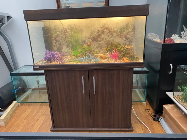 eheim 200L fish tank and stand