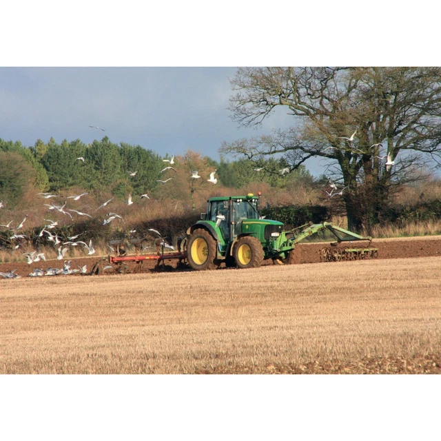 Kevin Milner Ploughing Match Campagna Biglietto d'Auguri (BZ4987)