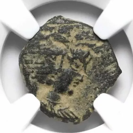 NABATAEA Petra Rabbel II Queen Gamilat AD 70-106 AE Coin Nabataean NGC Fine F