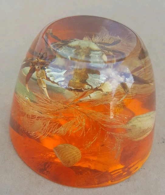 Vintage Resin Crab  Specimen. Taxidermy. Paperweight seaside seashell