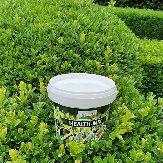 HEALTH-MIX - STOPS and Prevents Box Blight - 200G for 100M2 Boxwood £29 ...
