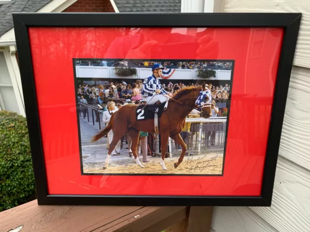 A  Framed  "Secretariat'' Getting Ready For The Belmont Signed By Ron Turcott