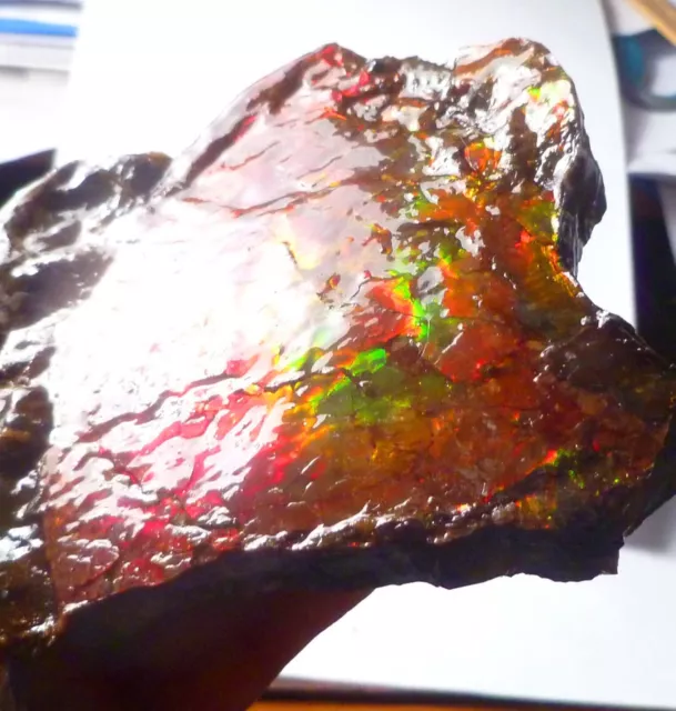 4.5"x4" Red Double Side AMMOLITE Gemstone Rough 114x104mm Canada Free Standing