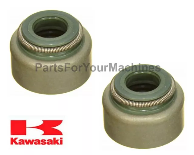 (2) Oem Valve Seals, Kawasaki Fh381V, Fh430V, Fh451V, Fh480, Fh500V, 11D13