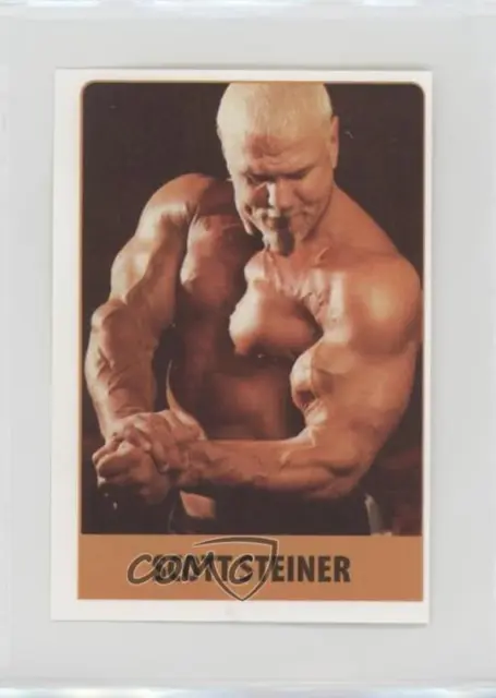 2008 Rafo Wrestling Keceri Stickers Scott Steiner #235
