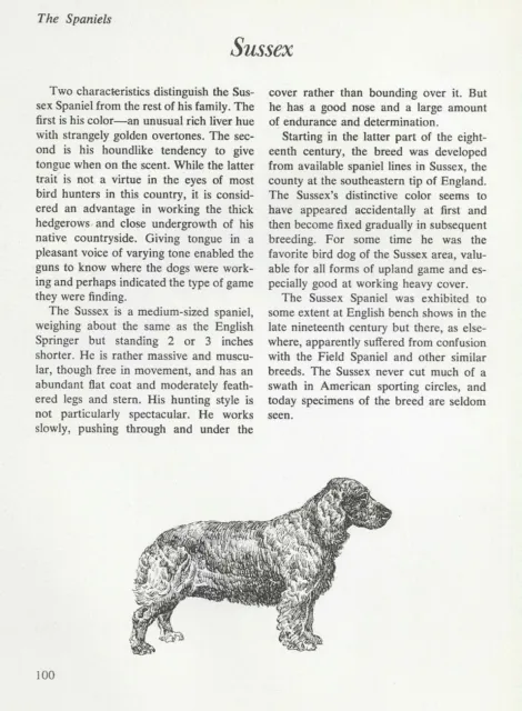 The Sussex Spaniel - CUSTOM MATTED - Vintage Dog Art Print - "G"