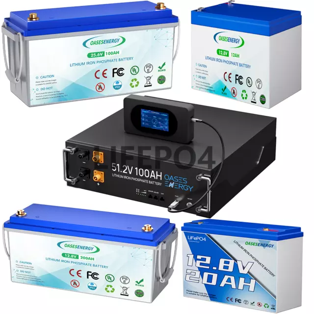 12V 100AH/200AH/24V 100Ah LiFePO4 LithiumBatterie BMS SolarAkku Wohnmobil Marine