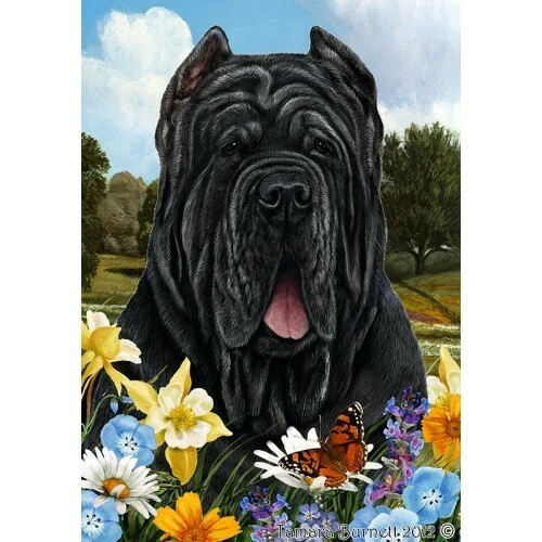 Summer Garden Flag - Neapolitan Mastiff 184711