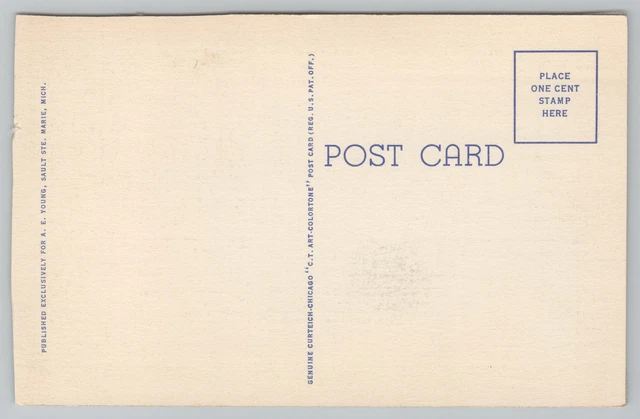 Hiawatha Michigan~Rushing Tahquamenon Falls~Linen Vintage Postcard 2