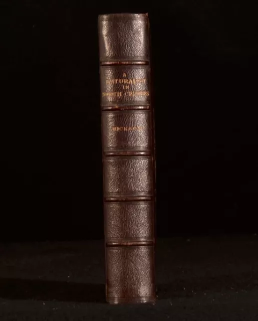 1889 Sydney J. Hickson A Naturalist in North Celebes First Edition Illustrated 2