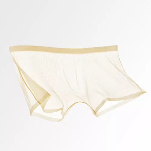 Sexy Mens Briefs See Through Sheer Boxer Mesh Underwear Shorts Trunks Underpants