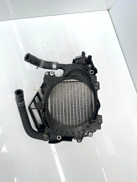 Radiatore Con Griglia Protezione Honda Pcx 125 (2009 - 2013)