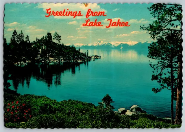 California & Nevada - Lake Tahoe - Greetings - Vintage Postcard 4x6 - Chrome