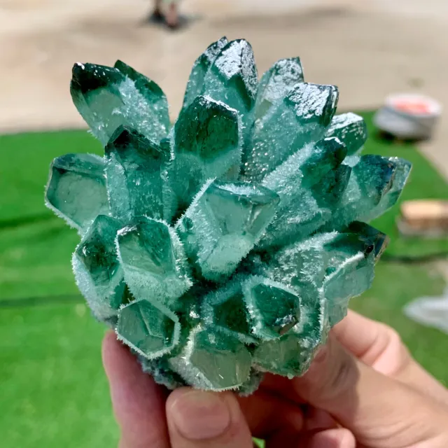 405G New Find green Phantom Quartz Crystal Cluster Mineral Specimen Healing