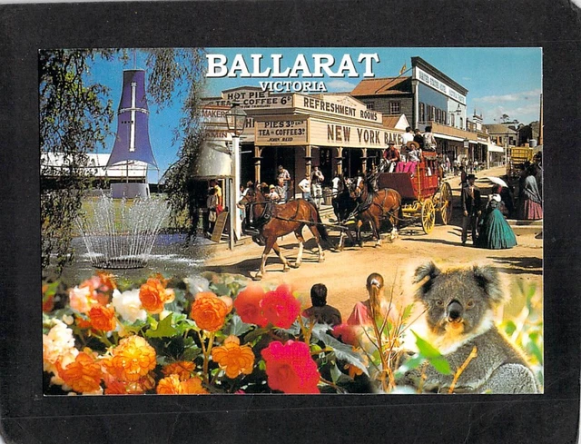 B0077 Australia V Ballarat Begonia Sovereign Hill Views  Rose postcard