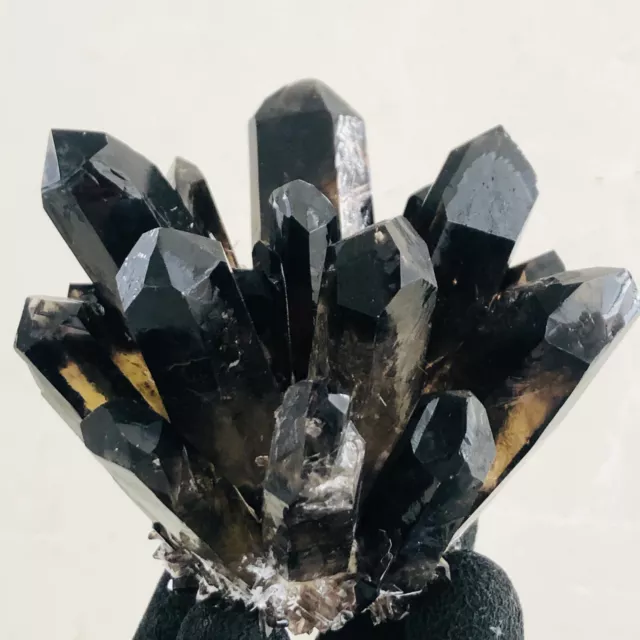 424g  New Find Black Phantom Quartz Crystal Cluster Mineral Specimen Healing
