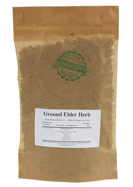 Ground Elder Herb - Aegopodium Podagraria L # Herba Organica # herb gerard