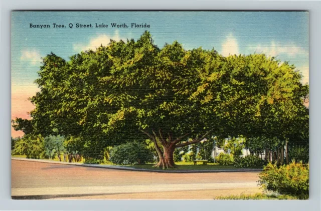 Lake Worth FL-Florida, Banyan Tree, Q Street Vintage Postcard